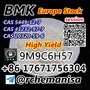 +8617671756304 75% Yield Bmk Glycidic Acid CAS 5449-12-7/41232-   97-7 Poland 