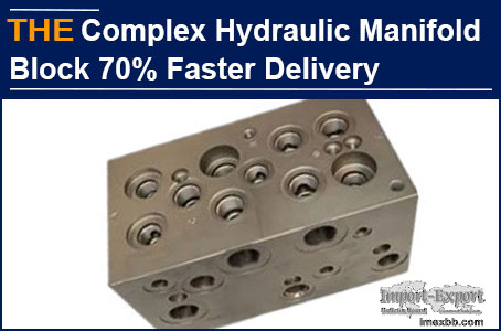 AAK Complex Hydraulic Manifold Block 70% Faster Delivery 