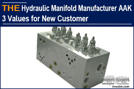 Hydraulic Manifold Manufacturer AAK 3 Values for New Customer