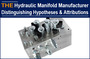 Hydraulic Manifold Manufacturer Distinguishing hypotheses and attributions