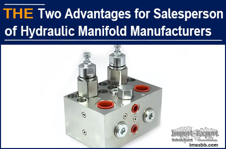 Two Advantages for Salesperson of Hydraulic Manifold Manufacturers