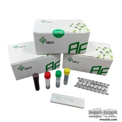 DNA Isothermal Amplification Kit NFO With 500-1000 Copies/UL Detection Limi
