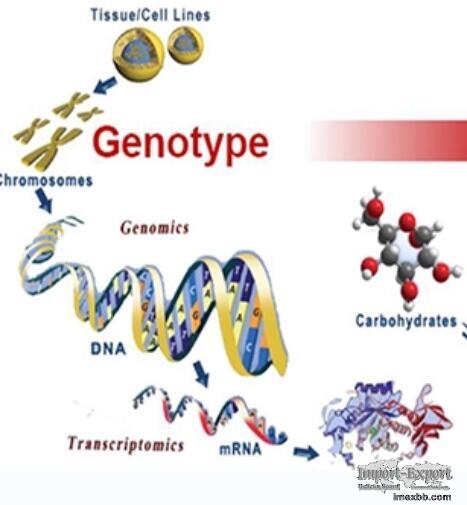 Resequencing+Metabolome