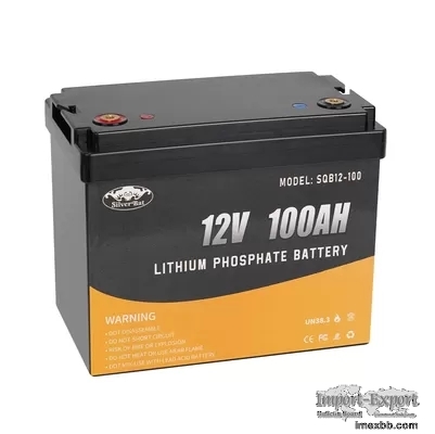 12V 100Ah LiFePO4 Battery Built-In 100A BMS, Up To 6000 Cycles, Perfect For