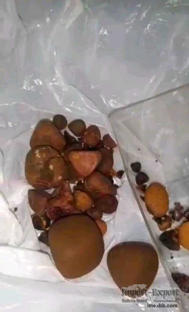 Fine Quality Cow Gallstones For Sale