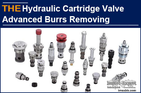 AAK Hydraulic Cartridge Valve Advanced Burrs Removing