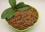 Bird Dried Mealworms High Protein 57% Health Protection
