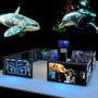 Mixed Reality Ocean Adventure Game