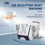 2024 New Portable Cryolipolysis Fat Freezing Machine Pass Cryo Lipolysis Re