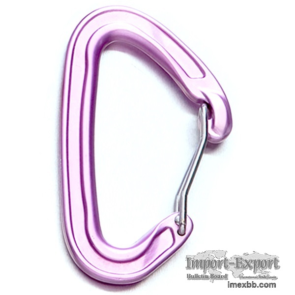 Ultra-Light Wire Gate Carabiner