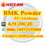 BMK Glycidic Acid (sodium salt) Cas 5449-12-7 EU warehouse