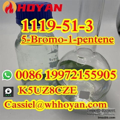 Supply 5Bromo1Pentene Cas 1119–51–3 5cl-Precursor 