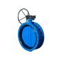 D341X Double Flange Concentric Butterfly Valve