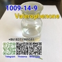 New Methylpropiophenone CAS 1009–14–9 purity is 99% hot sell
