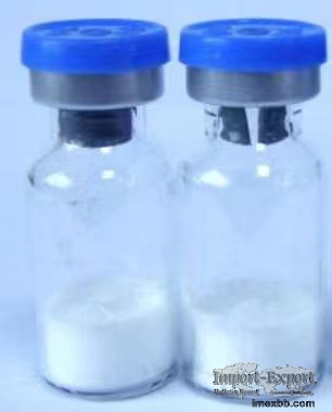CAS 5449-12-7  Glycidic Acid (sodium salt)