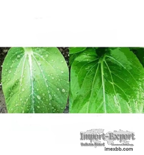 LA-11 A Modified Trisiloxane and an Silicone Surfactant