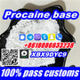 Procaine base,buy Procaine powder 59-46-1