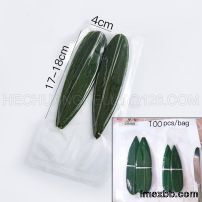 Vacuum Packed Wife Bamboo Leaves