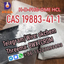 Hot sale H-D-PHG-OMEHCL  CAS 19883-41-1 Telegram okchem