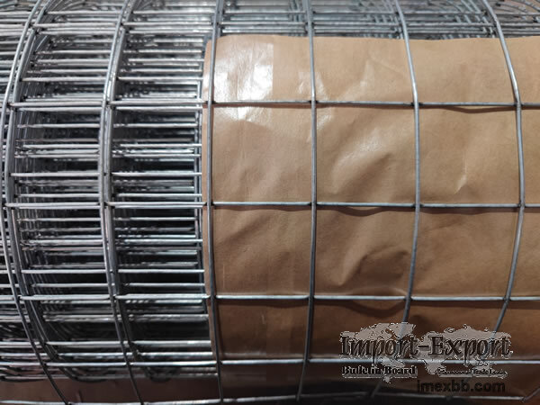 Hot-Dipped Galvanized Welded Wire Mesh