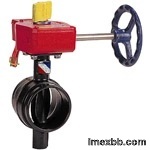 Turbine Grooved Butterfly Valve,Ductile Iron,MSS SP-67