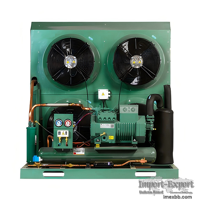 Best Price Bitzer Condensing Unit Manufacturer Cold Room Unit China Factory