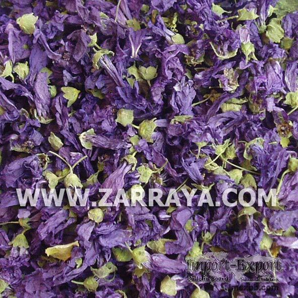 Blue Malva Flowers Whole