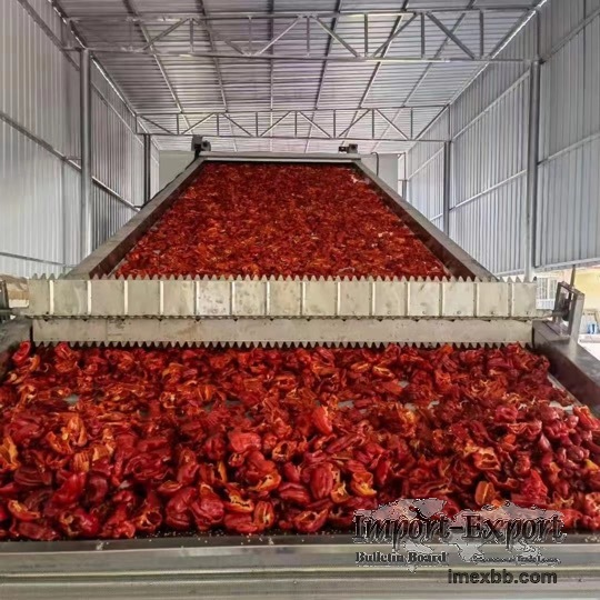 siemens PLC screen,Oilin burner,  mesh belt dryer, box dryer, drying soluti