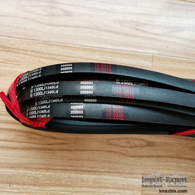 V-Belt for FLAND FL45 Wheel Loader