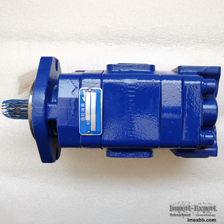 Hydraulic Pump CBTLZTX-G10/G10-AF1Φ