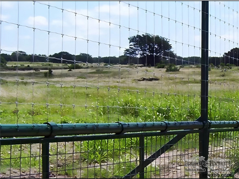 Wire Mesh Fencing Solutions for Water Gaps