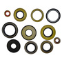 NQKSF Premium Durable Oil Seal Rubber Sealing Solutions for Industrial 