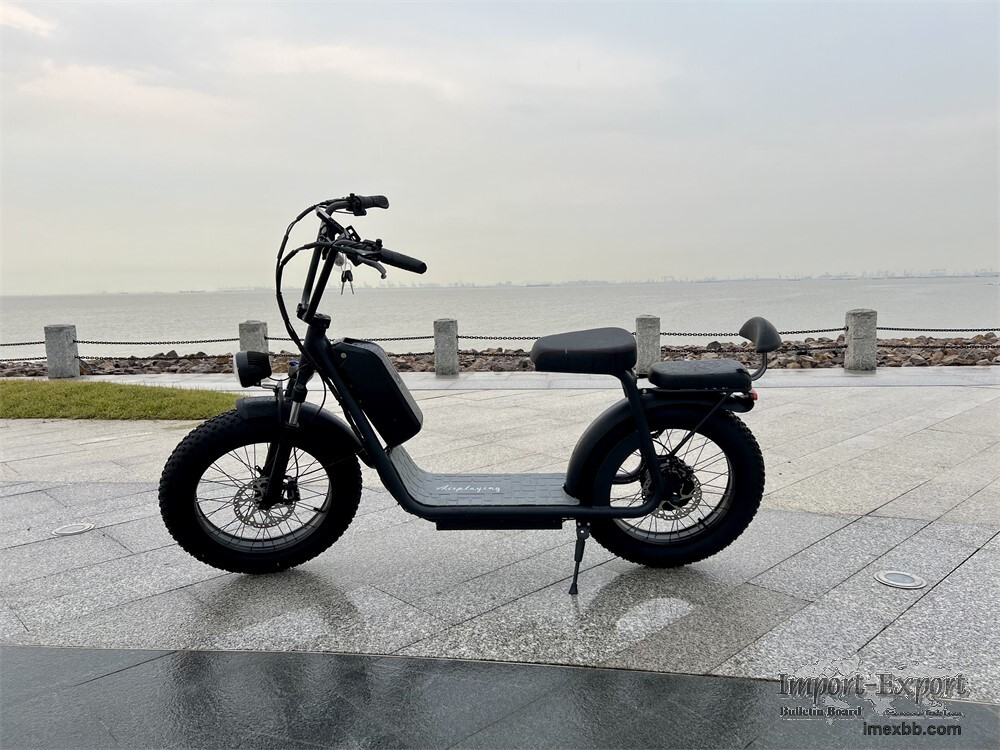 Factory Direct Sales Dual 48V 15AH Lithium Battery High-performance Electri