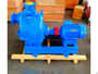 P Self Priming Sewage Pump For Polluted Water
