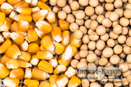 Sugar, Soybeans, Corn from Brazil.