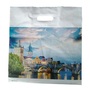 Reusable plastic die cut patch handle shopping carrier bags
