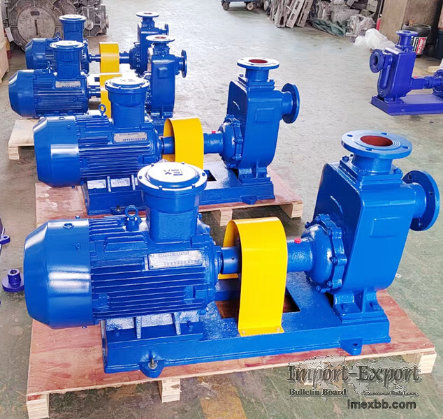 Electric Self Priming Fuel Oil Transfer Pump 