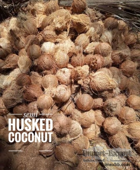 Semi husked coconuts