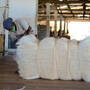 100% Grade A Natural Sisal Fiber For Sale