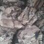 Dry & Wet salted Donkey Hides For Sale