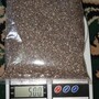 Organic Chia Seeds, Non-GMO, Bulk Chia Seeds For Sale