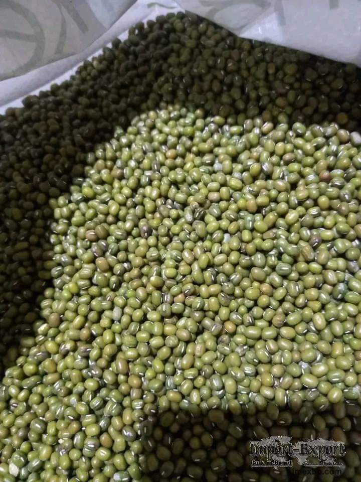 Green Mung Bean For Sale