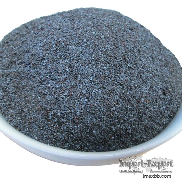 Excellent Quality Blue Poppy Seeds For Sale