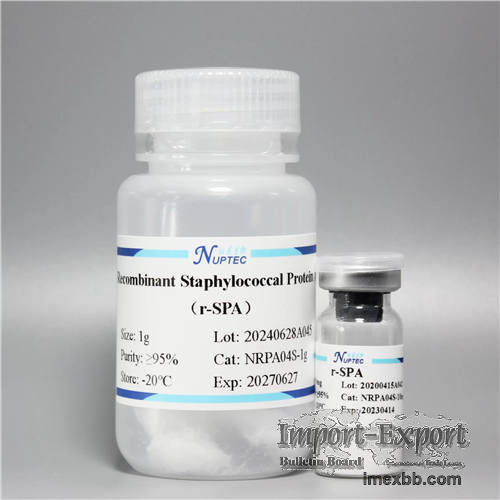 Recombinant Staphylococcal Protein A