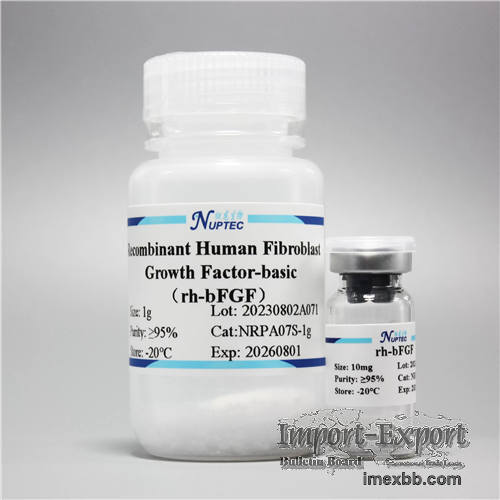 Recombinant Human Fibroblast Growth Factor-basic