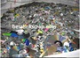 Scrap CD-DVD Supplier, CD-DVD Regrind Scrap Sale, CD-DVD Scrap Supplier