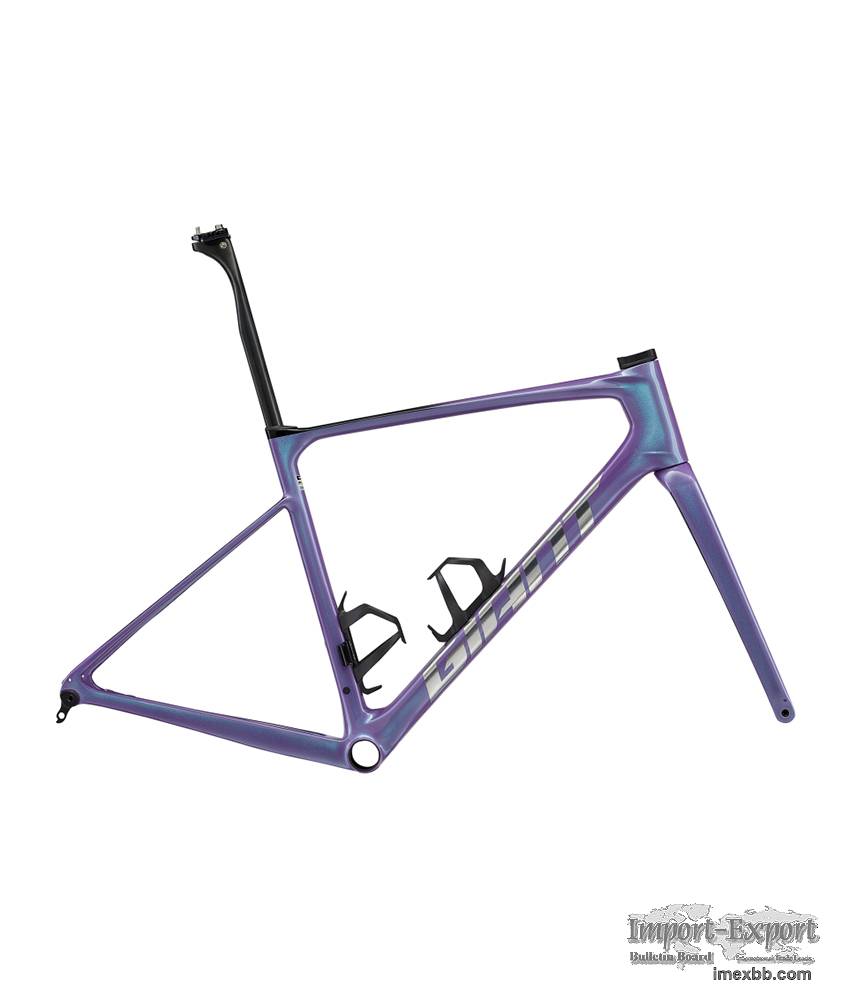 2024 Giant Defy Advanced SL Frameset (M3BIKESHOP)