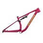 2025 Specialized Chisel Frameset (INDORACYCLES)