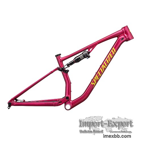 2025 Specialized Chisel Frameset (INDORACYCLES)
