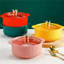 Custom microwave ceramic soup bowl with handle and lid